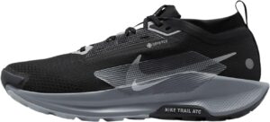 Nike Pegasus Trail 5 Gore-Tex,
